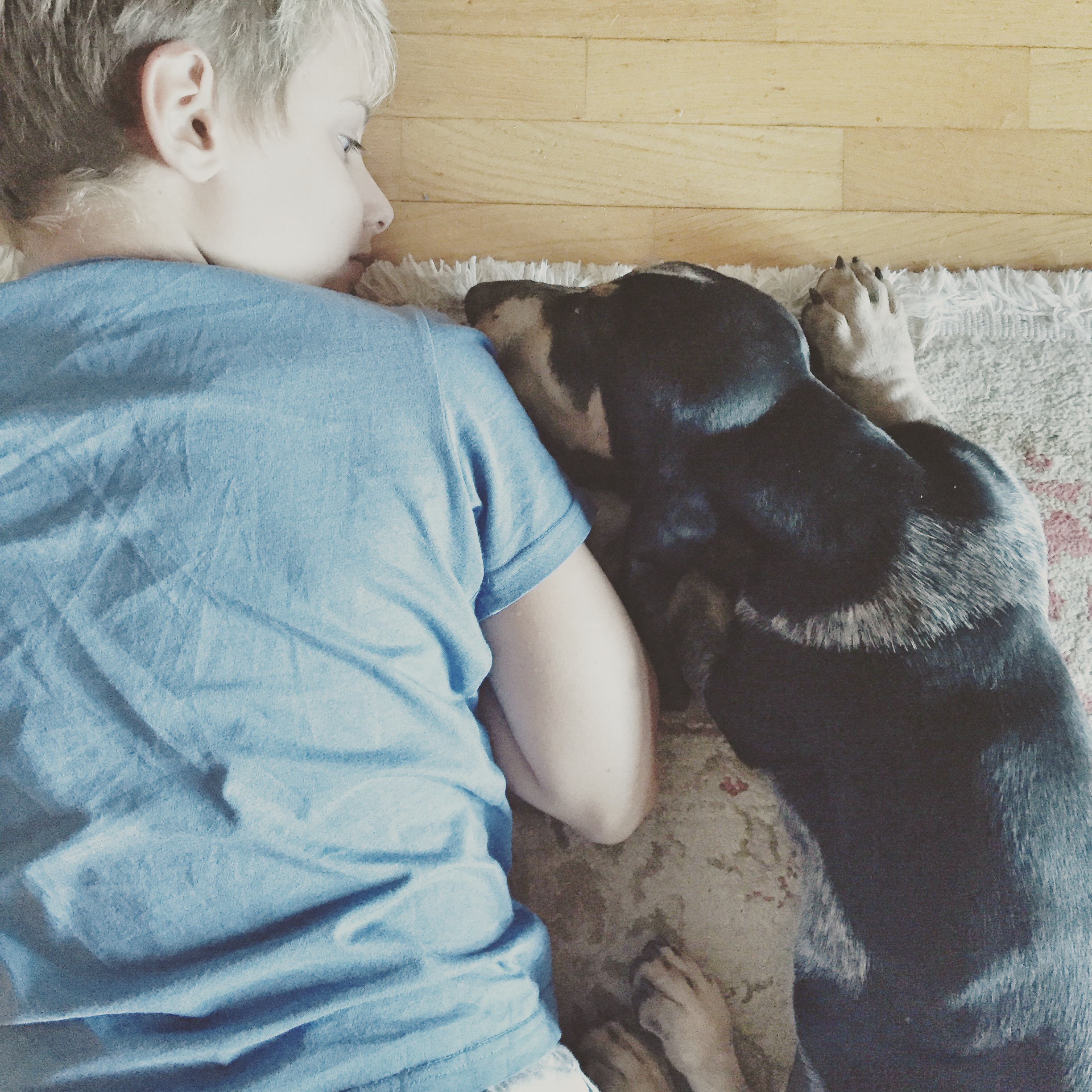 Bambini e animali