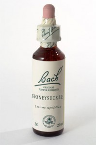 Honeysuckle fiori di bach