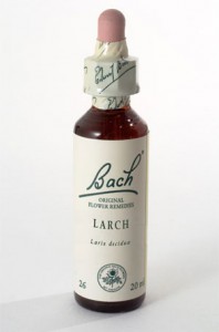 Larch Fiducia Fiori di Bach