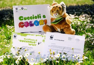 La tigre del kit associativo per bambini del Wwf